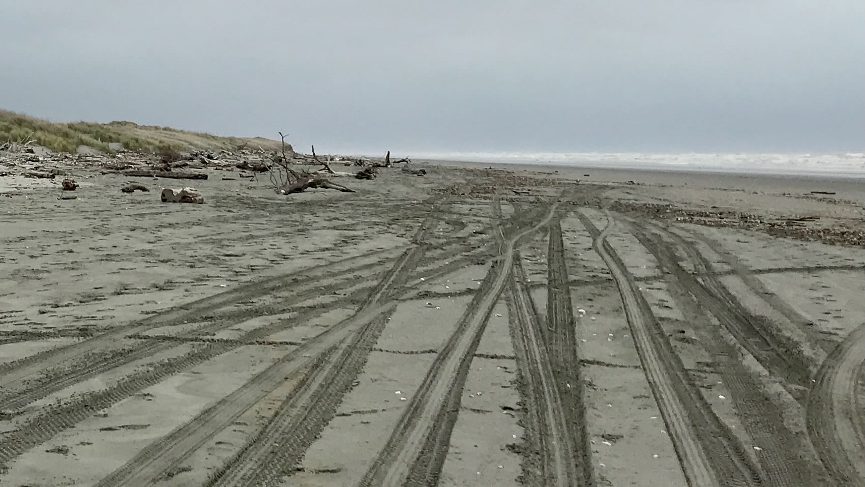 Numerous tire tracks in the sand, heading south. 