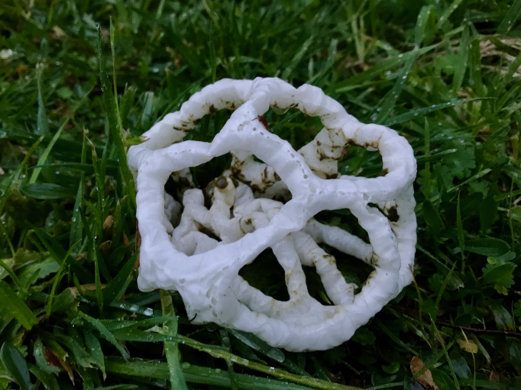 White lattice structure on grass. 
