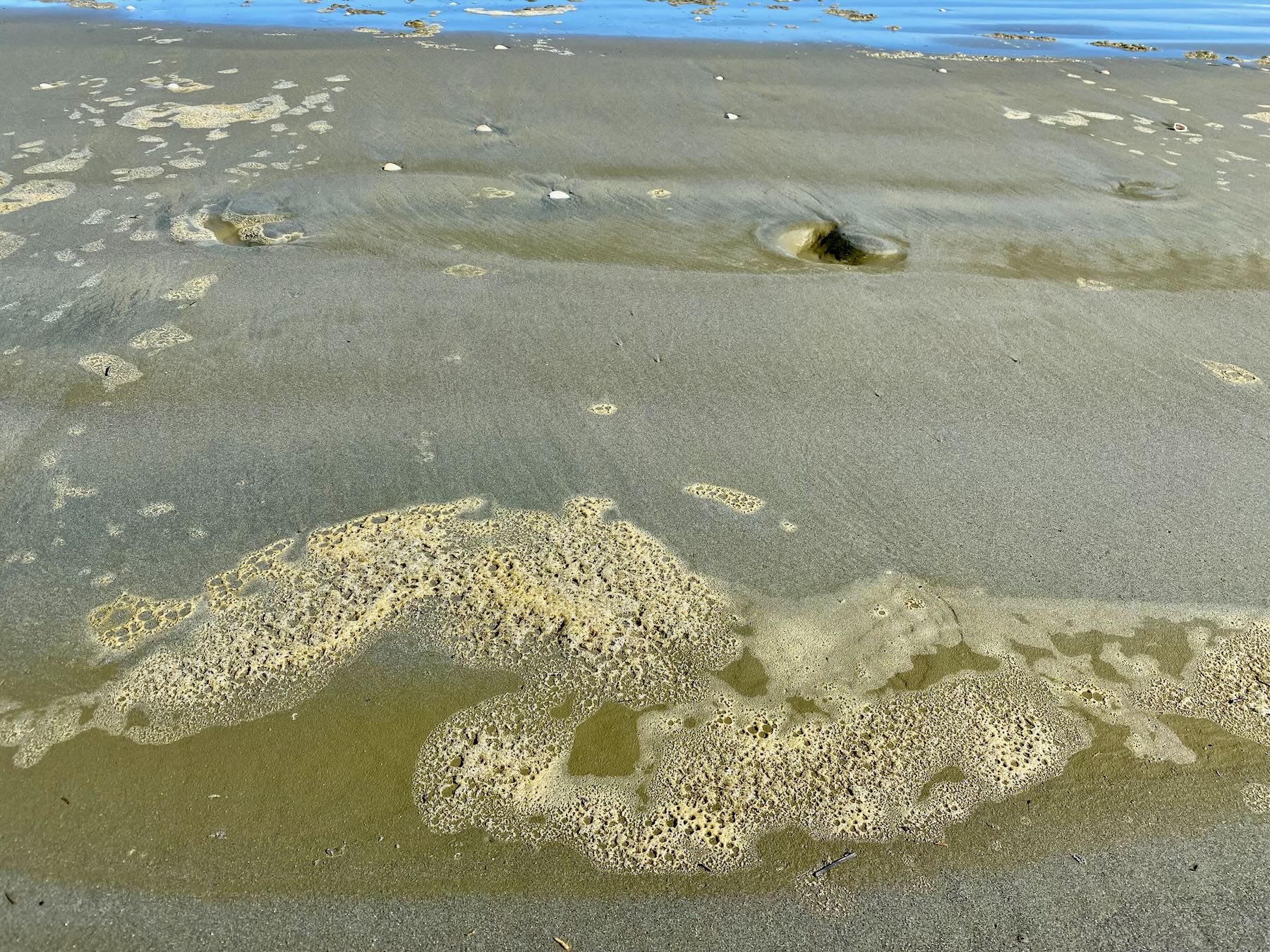 Brown beach foam. 