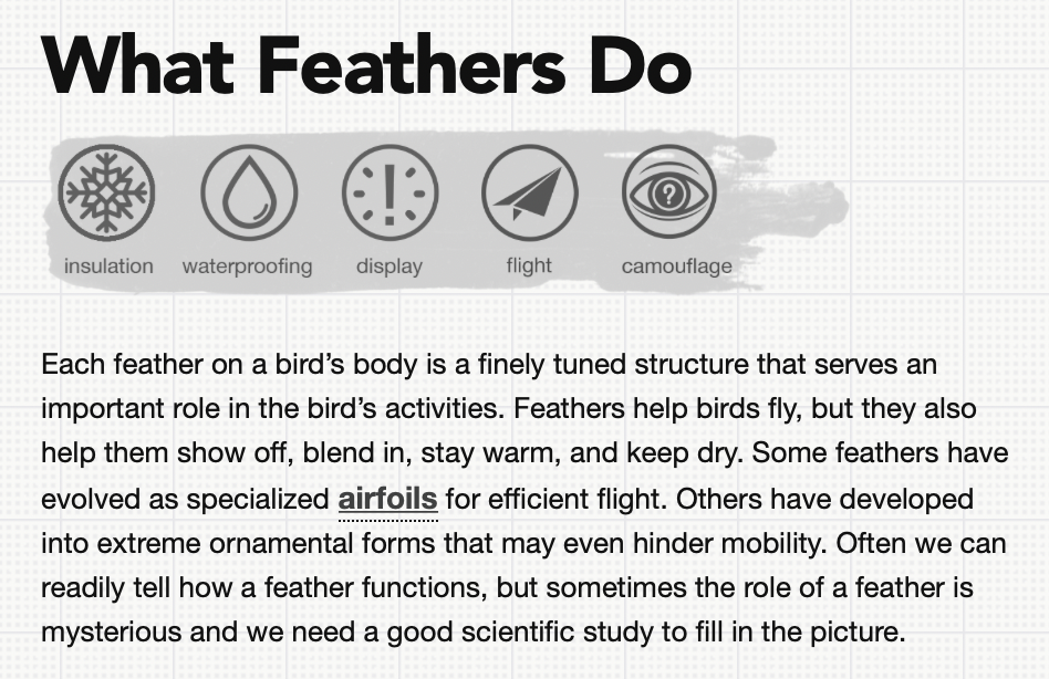 Screenshot about how feathers are specialised. 
